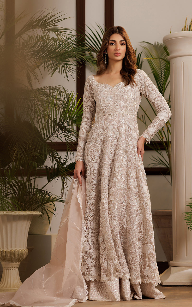 Soft Beige Embroidered Net Anarkali Dress (2-Piece) - Image 1