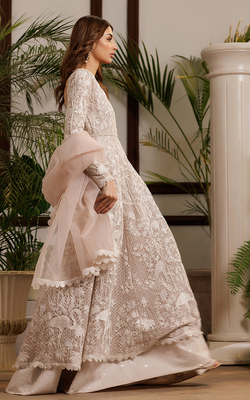 Soft Beige Embroidered Net Anarkali Dress (2-Piece) - Image 2