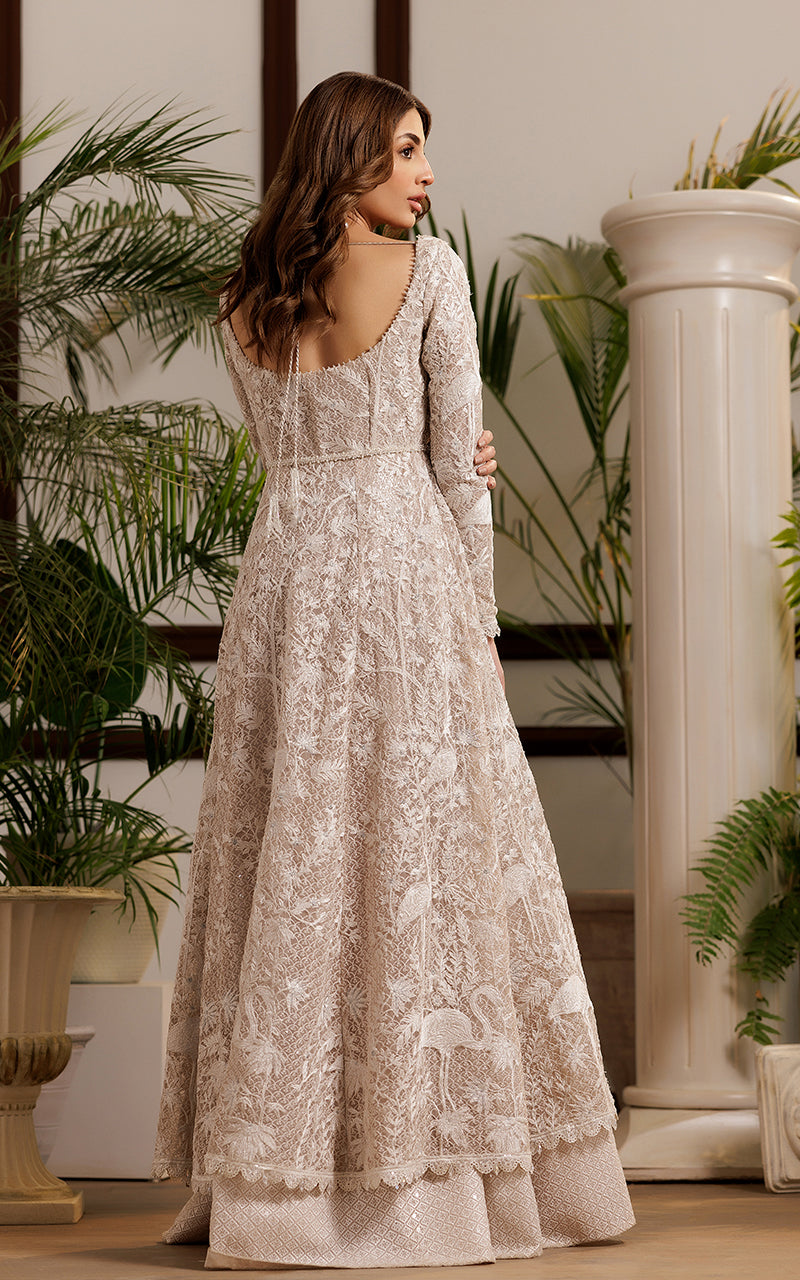 Soft Beige Embroidered Net Anarkali Dress (2-Piece) - Image 3