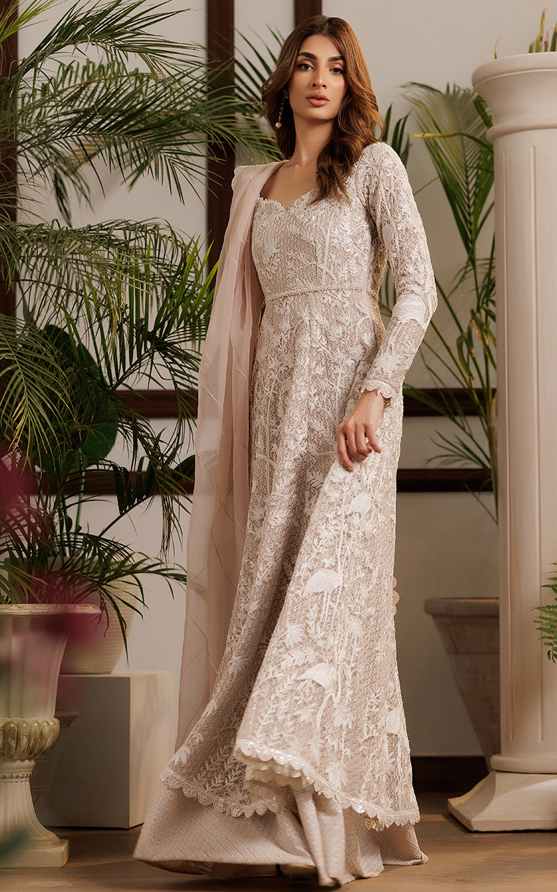 Soft Beige Embroidered Net Anarkali Dress (2-Piece) - Image 6