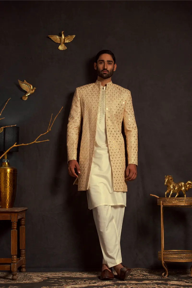 Beige Embroidered Masoori Sherwani (2-Piece) - Image 3