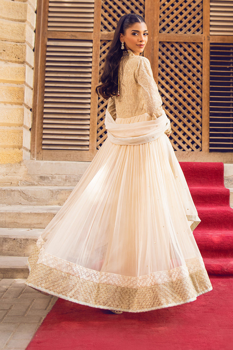 Pakistani Beige Handworked Pure Chiffon Anarkali (2-Piece) - Image 2