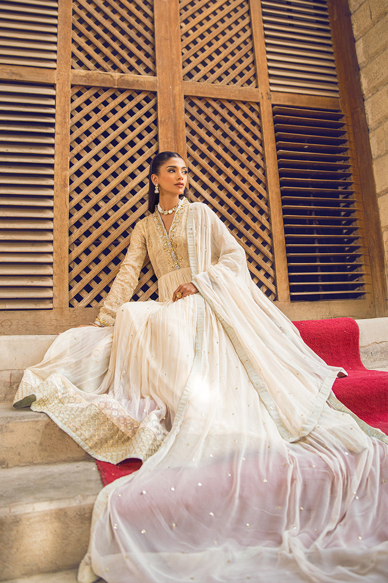 Pakistani Beige Handworked Pure Chiffon Anarkali (2-Piece) - Image 4