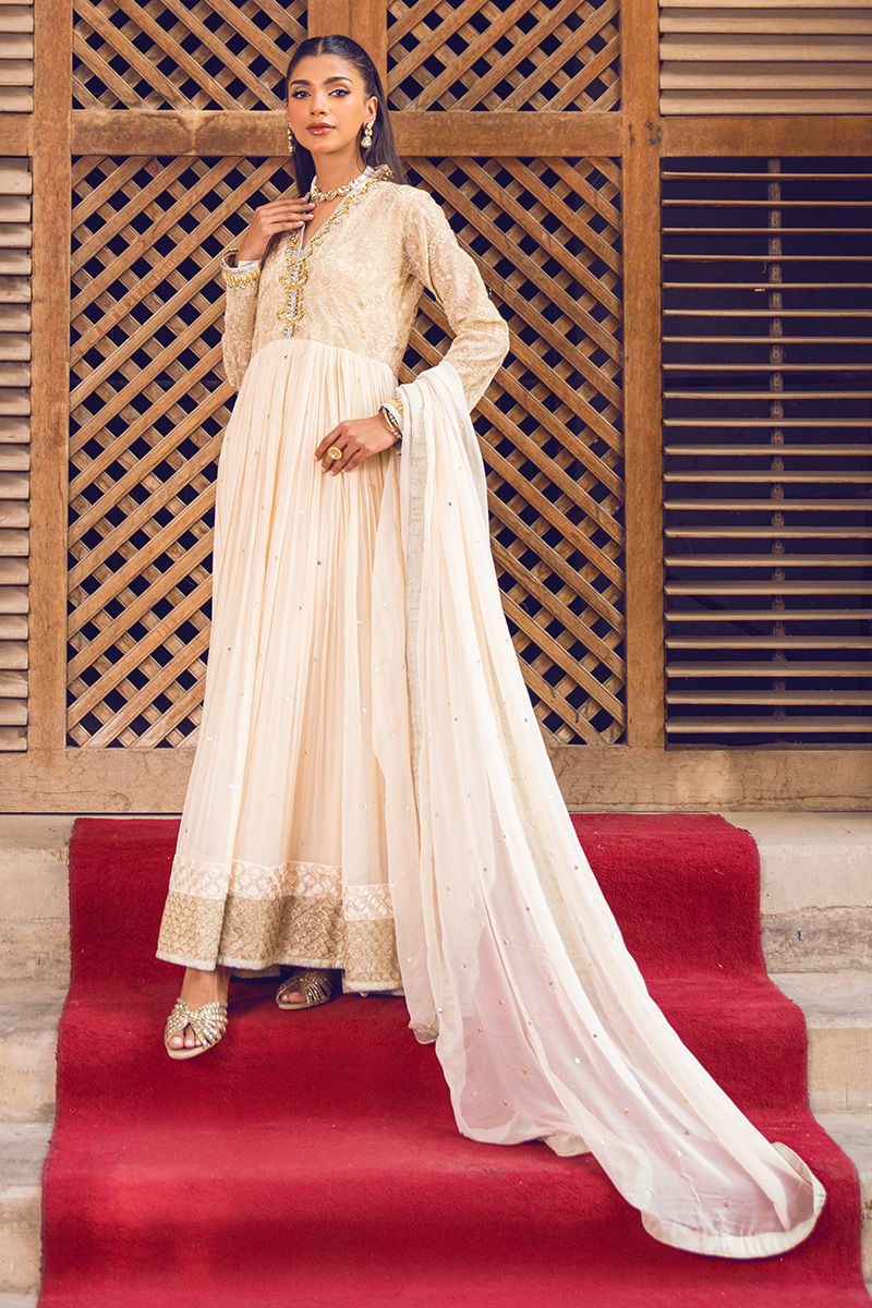 Pakistani Beige Handworked Pure Chiffon Anarkali (2-Piece) - Image 6