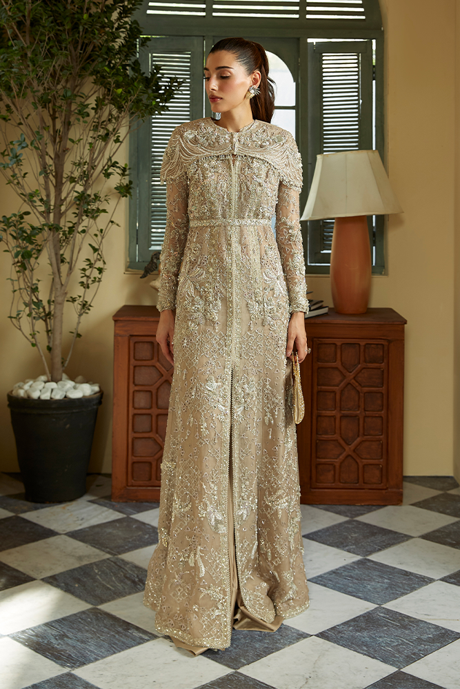 Beige Embellished Organza Cape Dress (2-Piece) - Image 1