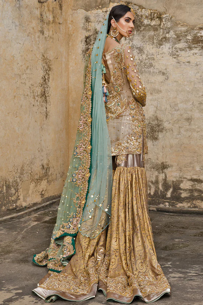Beige Embellished Organza Gharara Set (3-Piece) - Image 1