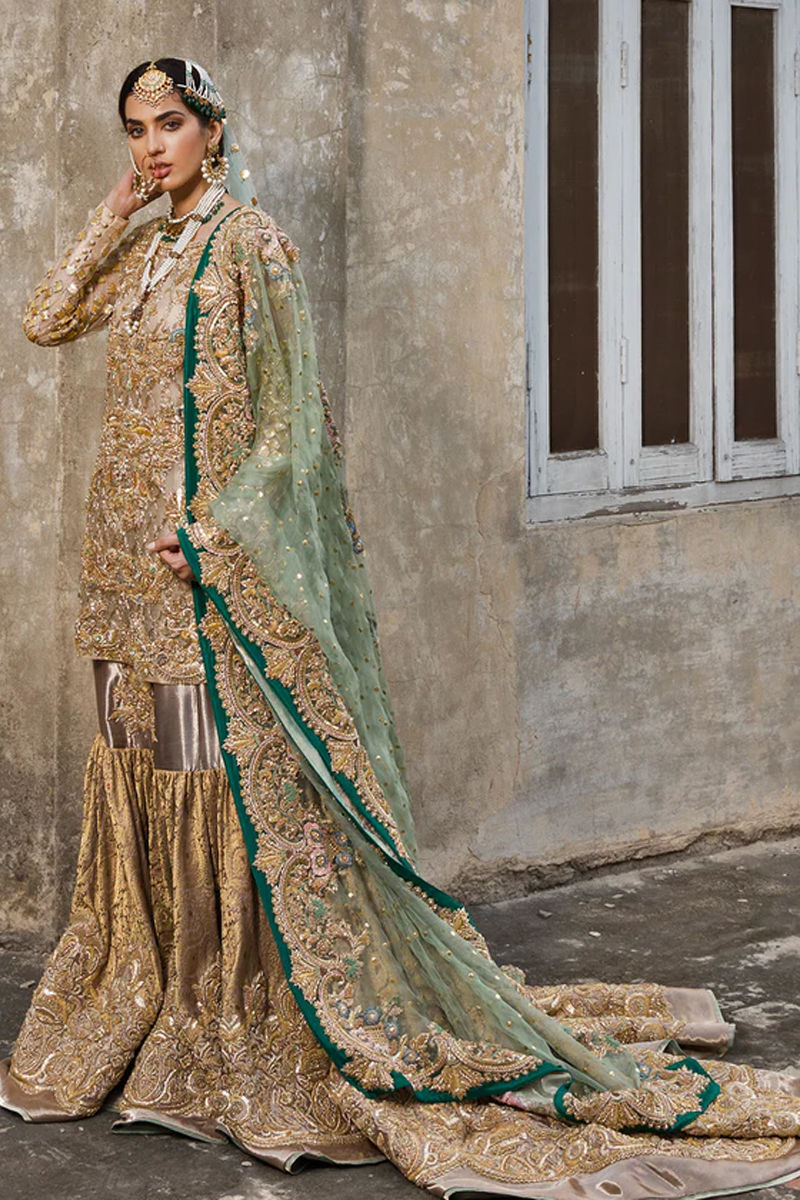 Beige Embellished Organza Gharara Set (3-Piece) - Image 2