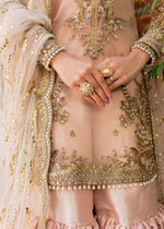 Pakistani Nude Embroidered Net & Silk Gharara Set (3-Piece) - Image 4