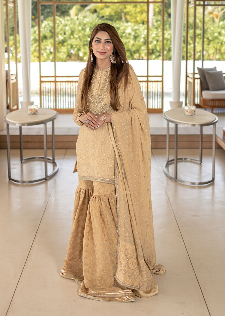 Nude Embroidered Chiffon & Zari Gharara (3-Piece) - Image 3