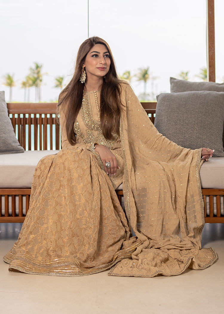 Nude Embroidered Chiffon & Zari Gharara (3-Piece) - Image 6