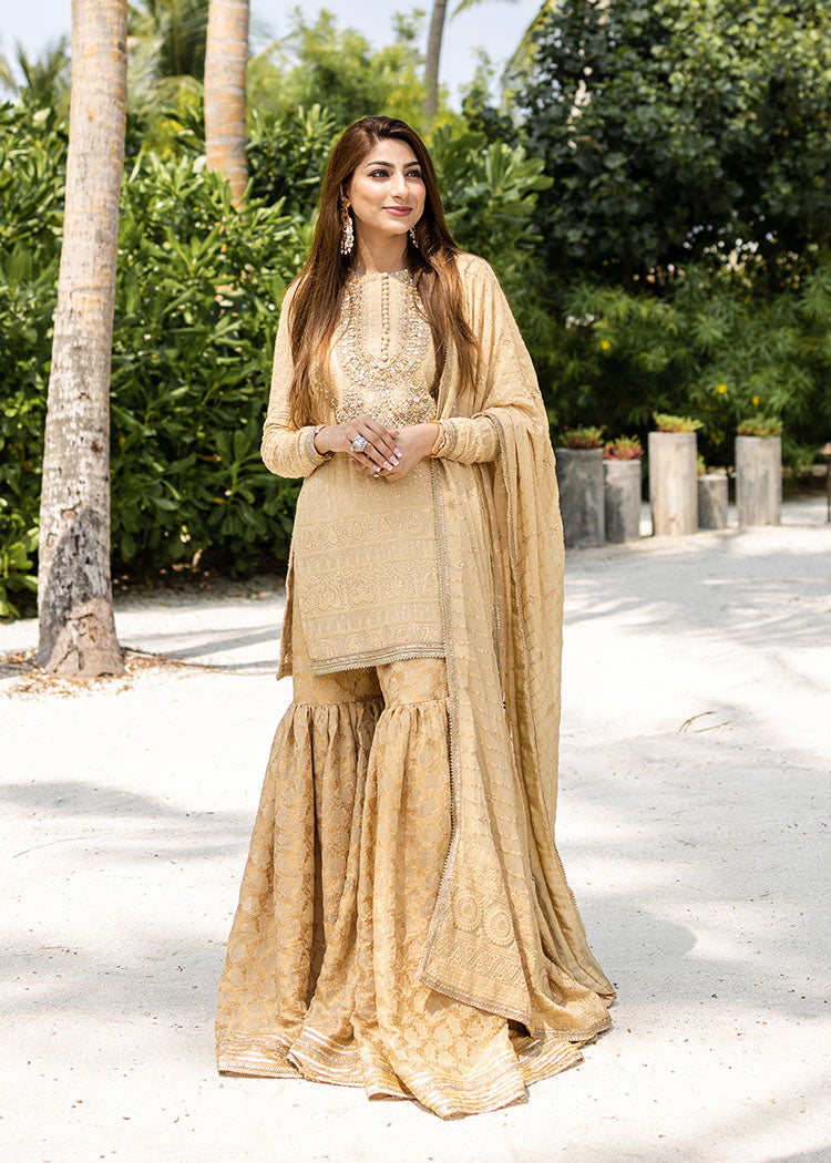 Nude Embroidered Chiffon & Zari Gharara (3-Piece) - Image 9