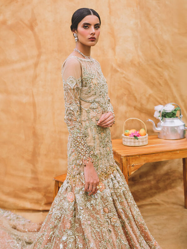 Sandy Embellished Net Bridal Gown (2-Piece) - Image 1