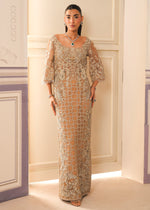 Beige Embroidered Net Straight-Cut Gown (3-Piece) - Image 2