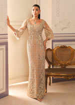 Beige Embroidered Net Straight-Cut Gown (3-Piece) - Image 6