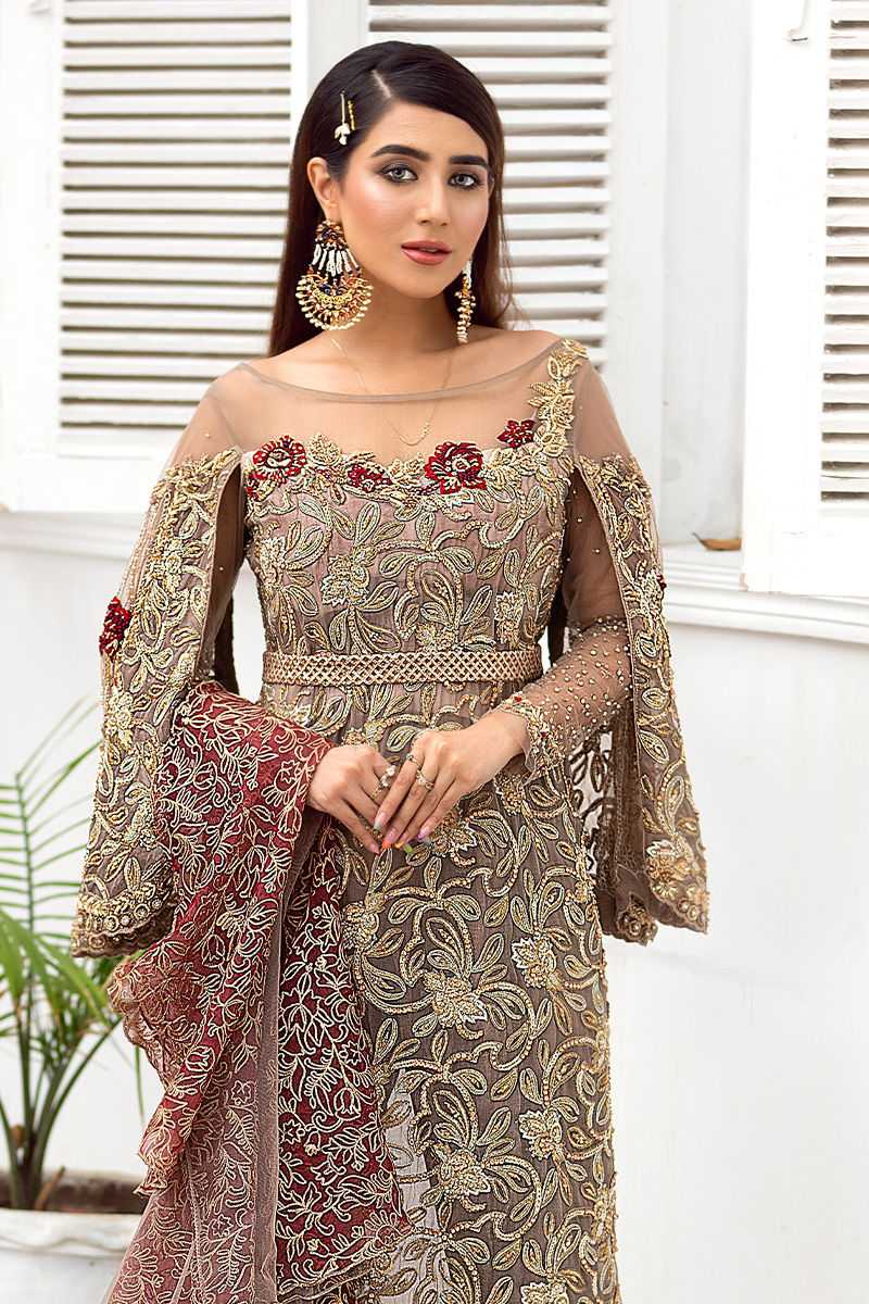 Pakistani Taupe Embroidered Net Gown (2-Piece) - Image 1