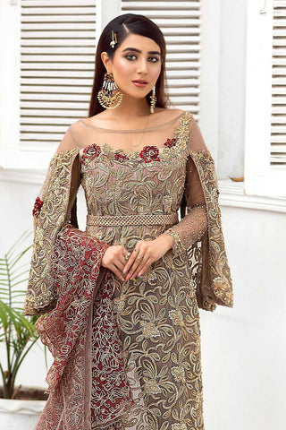 Pakistani Taupe Embroidered Net Gown (2-Piece) - Image 2