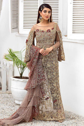 Pakistani Taupe Embroidered Net Gown (2-Piece) - Image 3