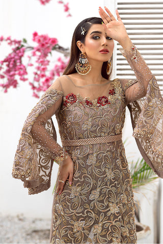 Pakistani Taupe Embroidered Net Gown (2-Piece) - Image 4