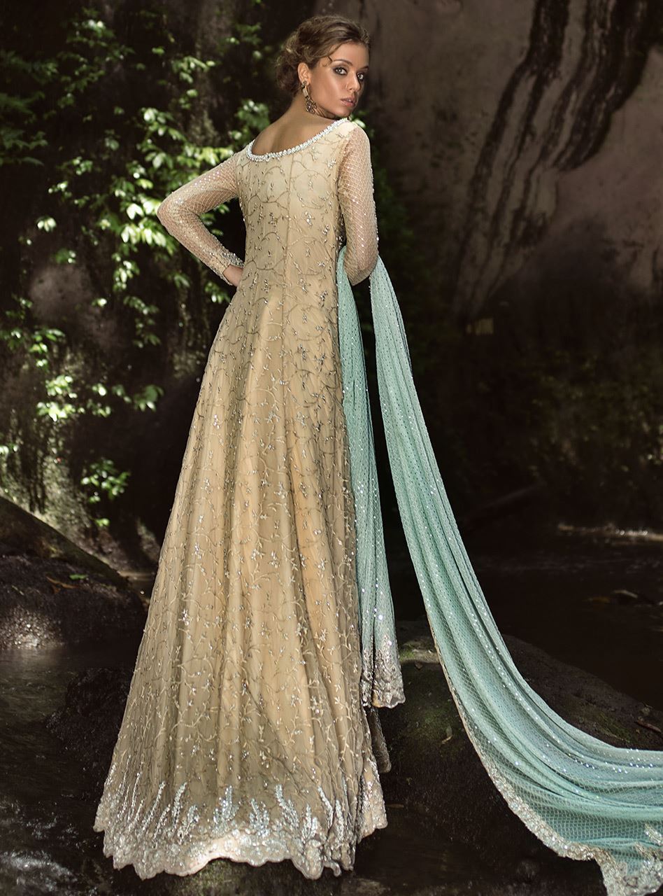 Beige Embellished Net Gown (2-Piece) - Image 2