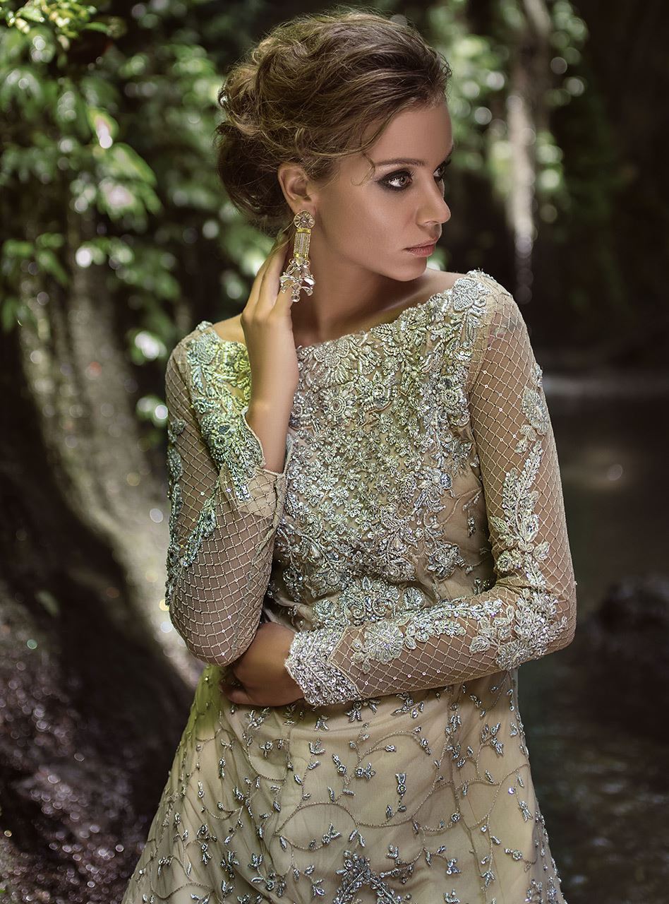 Beige Embellished Net Gown (2-Piece) - Image 3