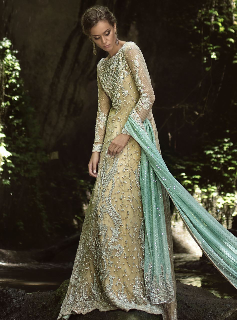 Beige Embellished Net Gown (2-Piece) - Image 4