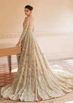 Beige Embroidered Net Bridal Gown (2-Piece) - Image 5
