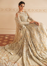 Beige Embroidered Net Bridal Gown (2-Piece) - Image 3