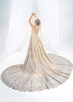 Beige Silver Embroidered Net Bridal Gown (3-Piece) - Image 7
