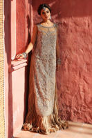 Beige Embroidered Net Gown with Crushed Dress (2-Piece) - Image 10