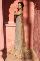 Beige Embroidered Net Gown with Crushed Dress (2-Piece) - Image 11