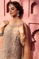 Beige Embroidered Net Gown with Crushed Dress (2-Piece) - Image 13