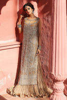 Beige Embroidered Net Gown with Crushed Dress (2-Piece) - Image 3