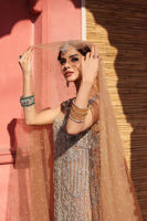 Beige Embroidered Net Gown with Crushed Dress (2-Piece) - Image 4