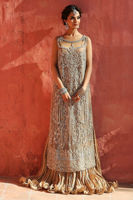 Beige Embroidered Net Gown with Crushed Dress (2-Piece) - Image 5