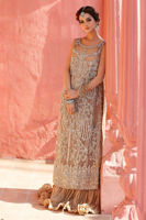 Beige Embroidered Net Gown with Crushed Dress (2-Piece) - Image 6