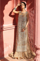Beige Embroidered Net Gown with Crushed Dress (2-Piece) - Image 8