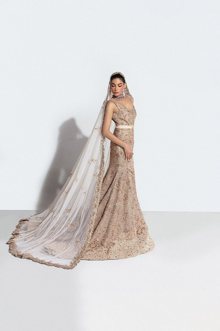 Beige Embroidered Net Bridal Gown (2-Piece) - Image 1