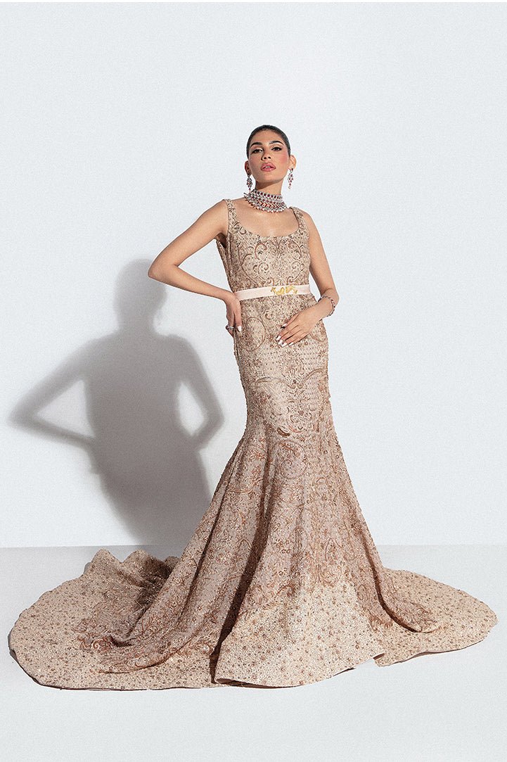 Beige Embroidered Net Bridal Gown (2-Piece) - Image 6