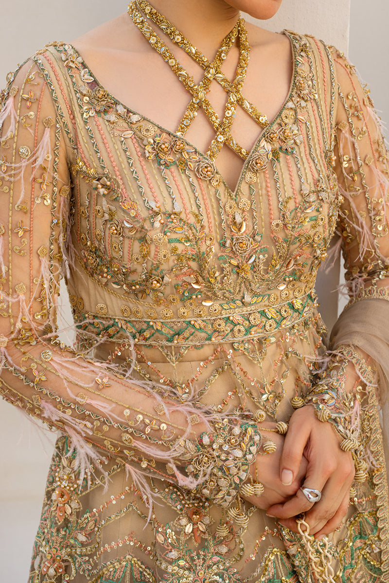 Pakistani Soft Beige Embroidered Net Maxi Dress (3-Piece) - Image 2