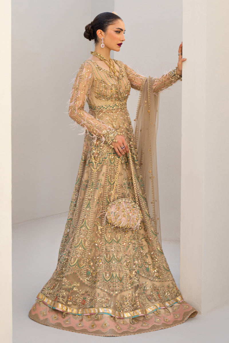 Pakistani Soft Beige Embroidered Net Maxi Dress (3-Piece) - Image 3