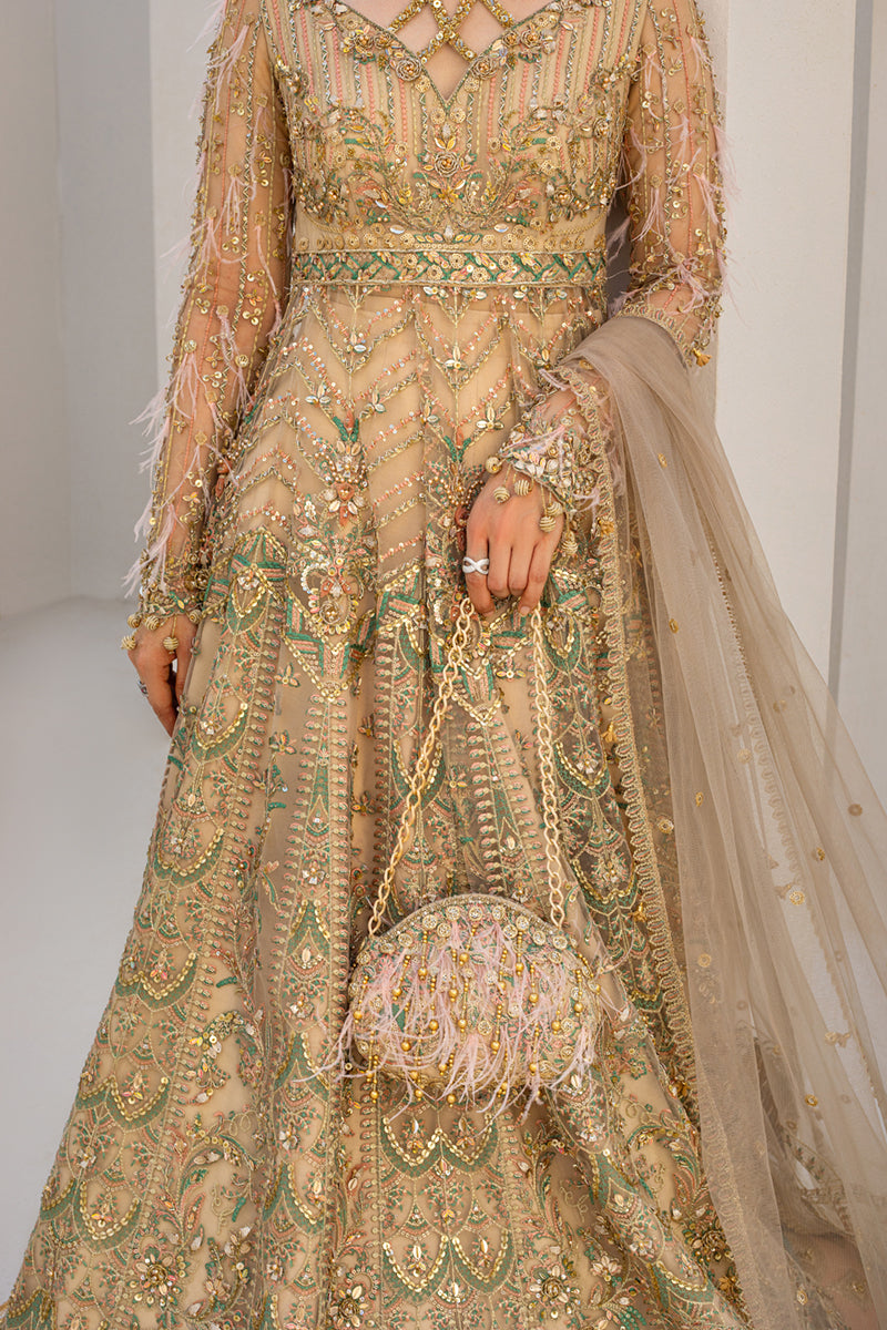 Pakistani Soft Beige Embroidered Net Maxi Dress (3-Piece) - Image 4