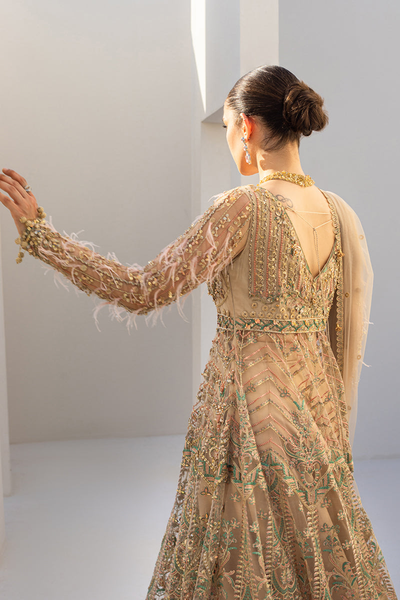 Pakistani Soft Beige Embroidered Net Maxi Dress (3-Piece) - Image 5