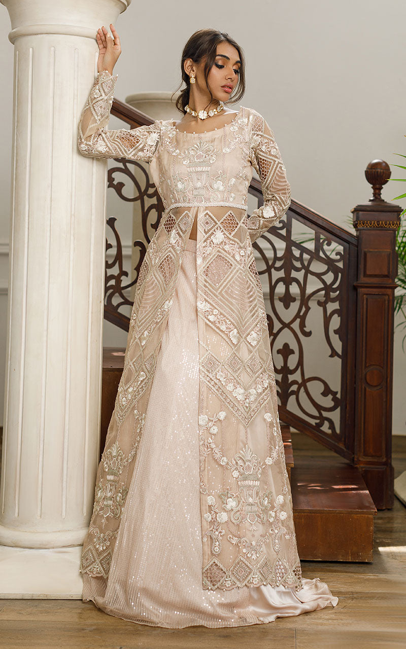 Beige Embroidered Organza Front-Open Gown (2-Piece) - Image 1