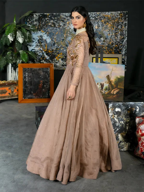 Pakistani Taupe Embroidered Organza Gown (1-Pc) - Image 1