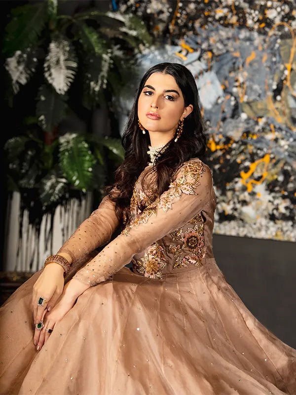 Pakistani Taupe Embroidered Organza Gown (1-Pc) - Image 2