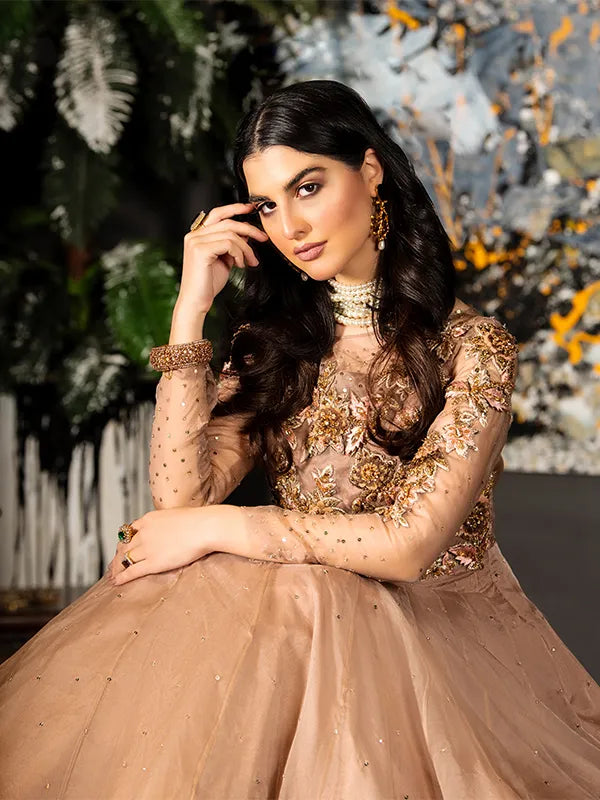 Pakistani Taupe Embroidered Organza Gown (1-Pc) - Image 3