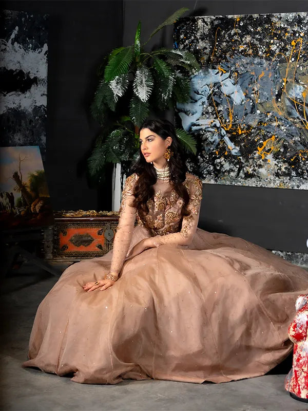 Pakistani Taupe Embroidered Organza Gown (1-Pc) - Image 4