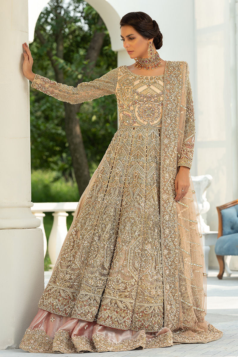 Beige Resham Zardozi Organza Bridal Gown (2-Piece) - Image 4
