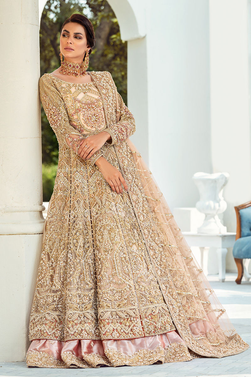 Beige Resham Zardozi Organza Bridal Gown (2-Piece) - Image 6