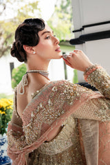 Beige Peach Hand-Embellished Organza Bridal Gown (2-Piece) - Image 9